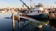 Tugboat sinks near Seattle's Fishermen's Terminal