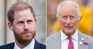 Prince Harry mirrors King Charles as he dramatically changes tactic in family feud