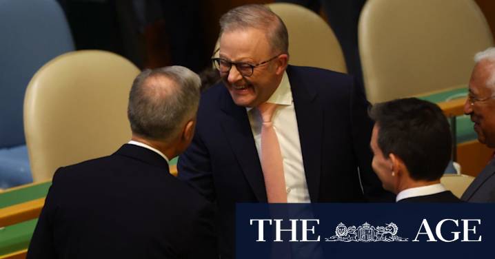 Anthony Albanese to attend progressive summit in London after meeting Donald Trump