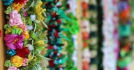 Providing aloha for generations, Gladys' Lei Stand could be on verge of closing in Honolulu