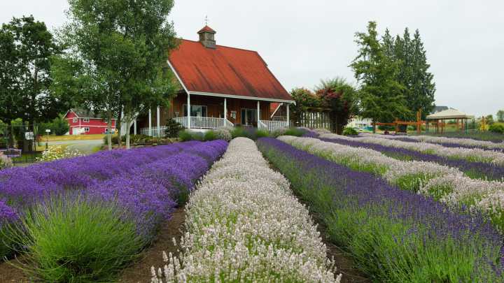 8 Top Towns To Retire In Washington