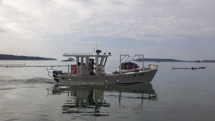 Meet the small business owners electrifying Maine’s rural coast