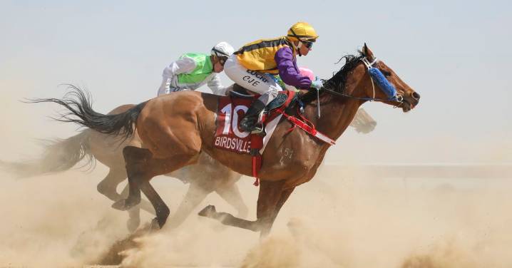 Queensland weather update: Extreme fire danger warning issued as fans head to Birdsville Races