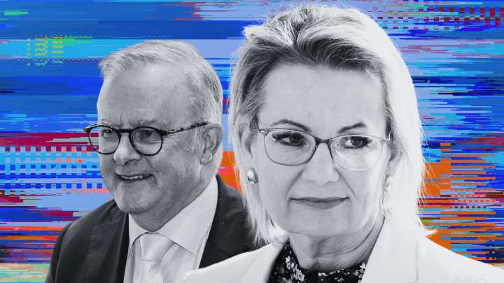 Coalition bleeding support among men, youth and east coast voters under Opposition Leader Sussan Ley