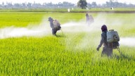 Denuncian que la UE cede a la presión de las grandes empresas para permitir sustancias tóxicas peligrosas