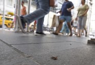 Estados Unidos registra su cifra más baja de relaciones sexuales, según informe