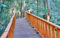 Octubre en Misiones: flores, homenajes y noches bajo  las estrellas