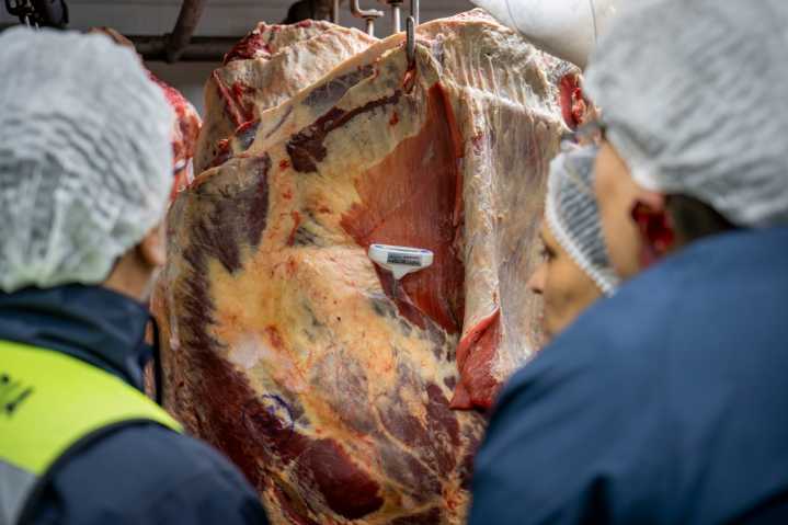 20 sumarios y 542,9 kg de productos decomisados dejan fiscalizaciones por Fiestas Patrias