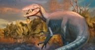 New dinosaur discovered in Argentina with a crocodile leg in its jaws: "More than one way to be a top predator"