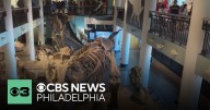 Academy of Natural Sciences cutting hours, staff positions, citing financial instability