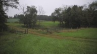 Virginia farmer shifts from corn to conservation pastures