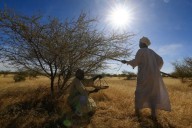 Sudan, Congo, and You