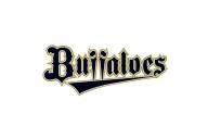 15 Facts About The Orix Buffaloes