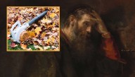 Scholars Say Thorn In Paul's Flesh May Have Been Neighbor's Leaf Blower