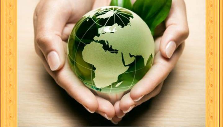 Día Mundial de la Salud Ambiental: cuidar el entorno es cuidar la vida