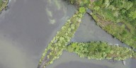 Restos de armas y barcos de guerra bajo el agua se transformaron en refugios para la vida silvestre
