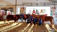 Los mejores ejemplares de bovino deslumbran en el cierre de Salamaq