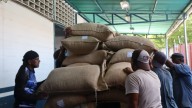 Venezuela acelera su ofensiva económica con una nueva exportación de cacao a Rusia