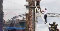 VIDEO: Momentos de tensión generó un hombre que amenazó con lanzarse desde semáforo en Azcapotzalco