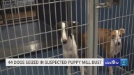 44 dogs rescued from suspected puppy mill in Smith County