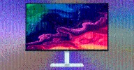 From OLED to Budget LCDs, These Are Our Favorite Computer Monitors