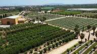 Innovación agraria: única vía para sobrevivir