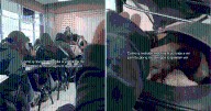 Joven oculta a su perrito dentro de su mochila mientras su profesora anuncia que habrá revisión de sus pertenencias: ''Sintió el verdadero terror''