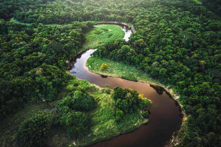 Man Could Face Charges for Taking Son into Brazilian Wilderness for Tech Detox