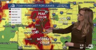Colorado leaf forecast: We'll see peak colors in the higher elevations this Sept. 26 weekend 🍁