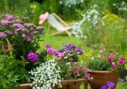 Llena de color tu balcón: las 3 flores que debes plantar este septiembre para un verano deslumbrante