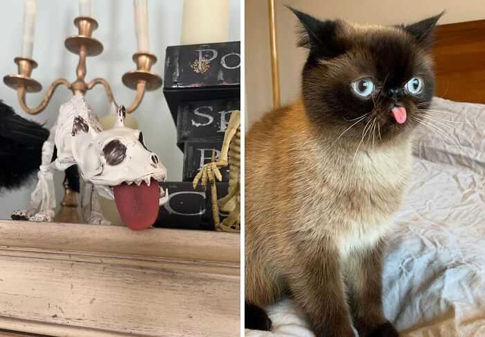 16 Hilarious Finds Under $10 That Prove Laughter Doesn’t Need A Big Budget