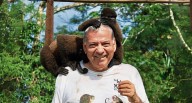 PICO TV · El Búho en la Isla de los monos