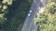 Juvenile killed in freak accident involving deer on Route 322 in West Bradford Twonship, Chester County