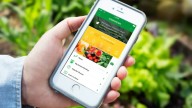 Estas son las mejores apps para planificar y cuidar tu jardín desde el celular