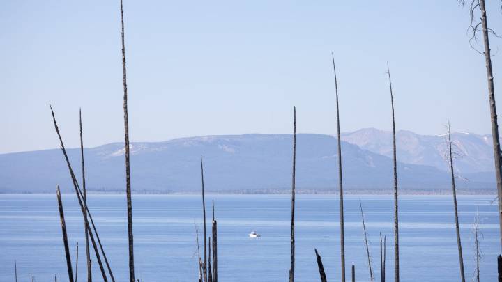 Fishing restrictions in Yellowstone lifted due to cool temps, precipitation