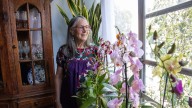 Muere Julieta Fierro, científica e investigadora de la UNAM
