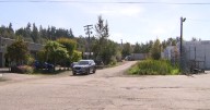 Surrey police investigating shooting at a business