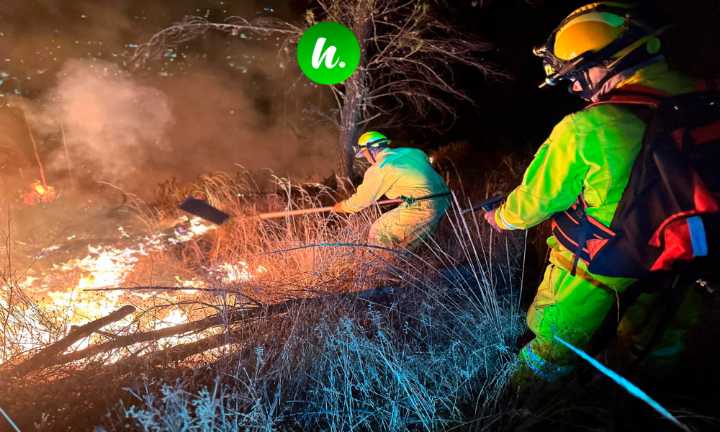 Incendio devora pastizales en el Pinar