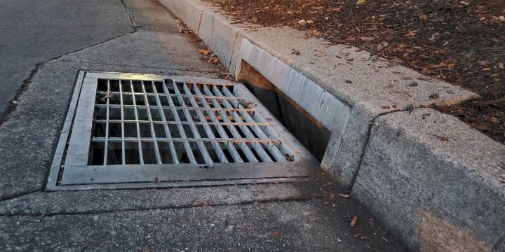Rescue Mission Launched for ‘Dog’ in Drain