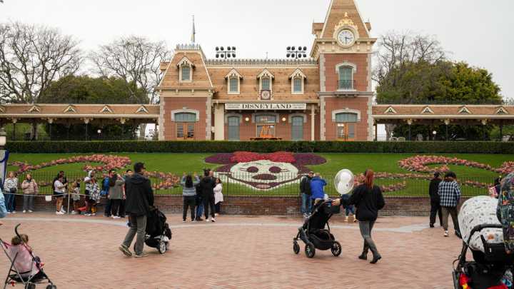Tourists Could Soon Help House Disneyland Resort Workers