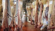 El Gobierno también eliminará las retenciones para la carne avícola y bovina