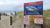 Surgery saves 8-year-old boy's leg after Florida shark bite