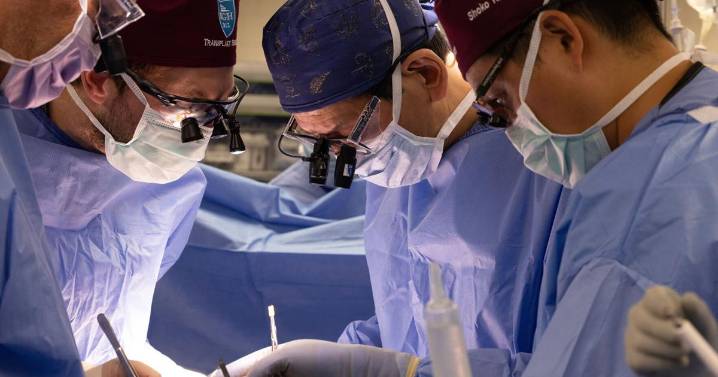 Another New Hampshire man gets a pig kidney as transplant trials are poised to start