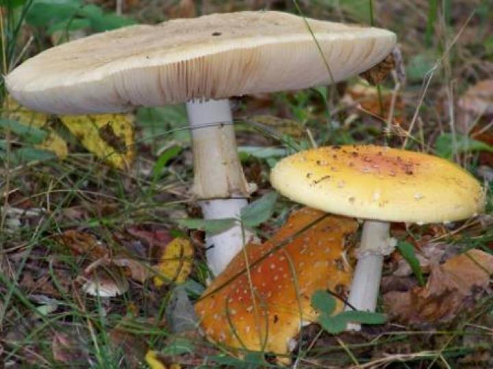 All the happenings in the lakes area, Sept. 13