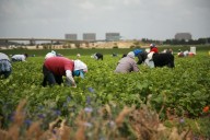 The Catholic Church has a lot to say about Labor Day