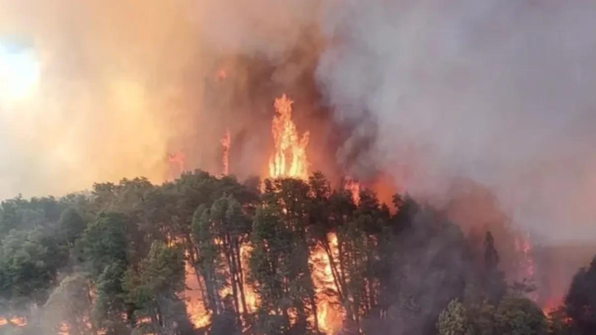 Santa Fe será sede del 1º Encuentro Nacional de Manejo del Fuego