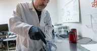 Oregon researchers say some 'magic mushroom' edibles sold in stores contain no psilocybin