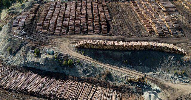 Canada drops 2 appeals of U.S. anti-dumping duties on softwood lumber