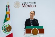 La presidenta de la continuidad con cambios
