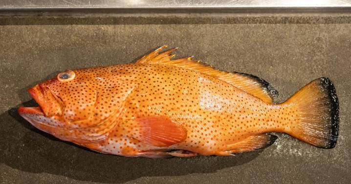 What seafood options might be local on Charleston menus?